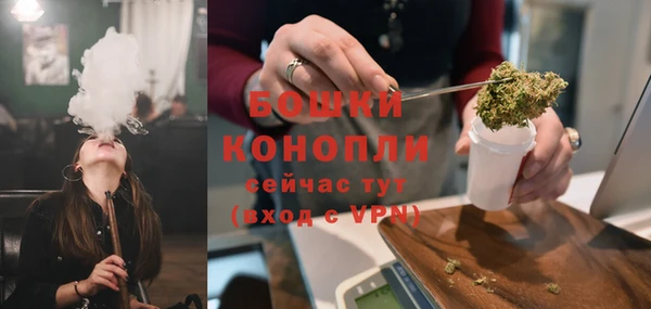 дурь Бородино