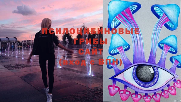 дурь Бородино