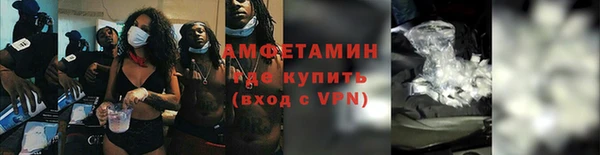 дурь Бородино