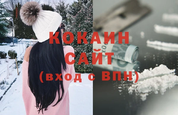 дурь Бородино