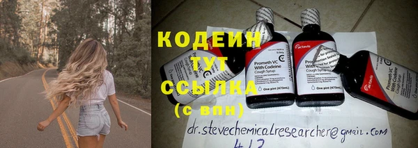 дурь Бородино