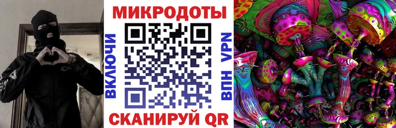 гидра ССЫЛКА  Моздок  Псилоцибиновые грибы мухоморы 